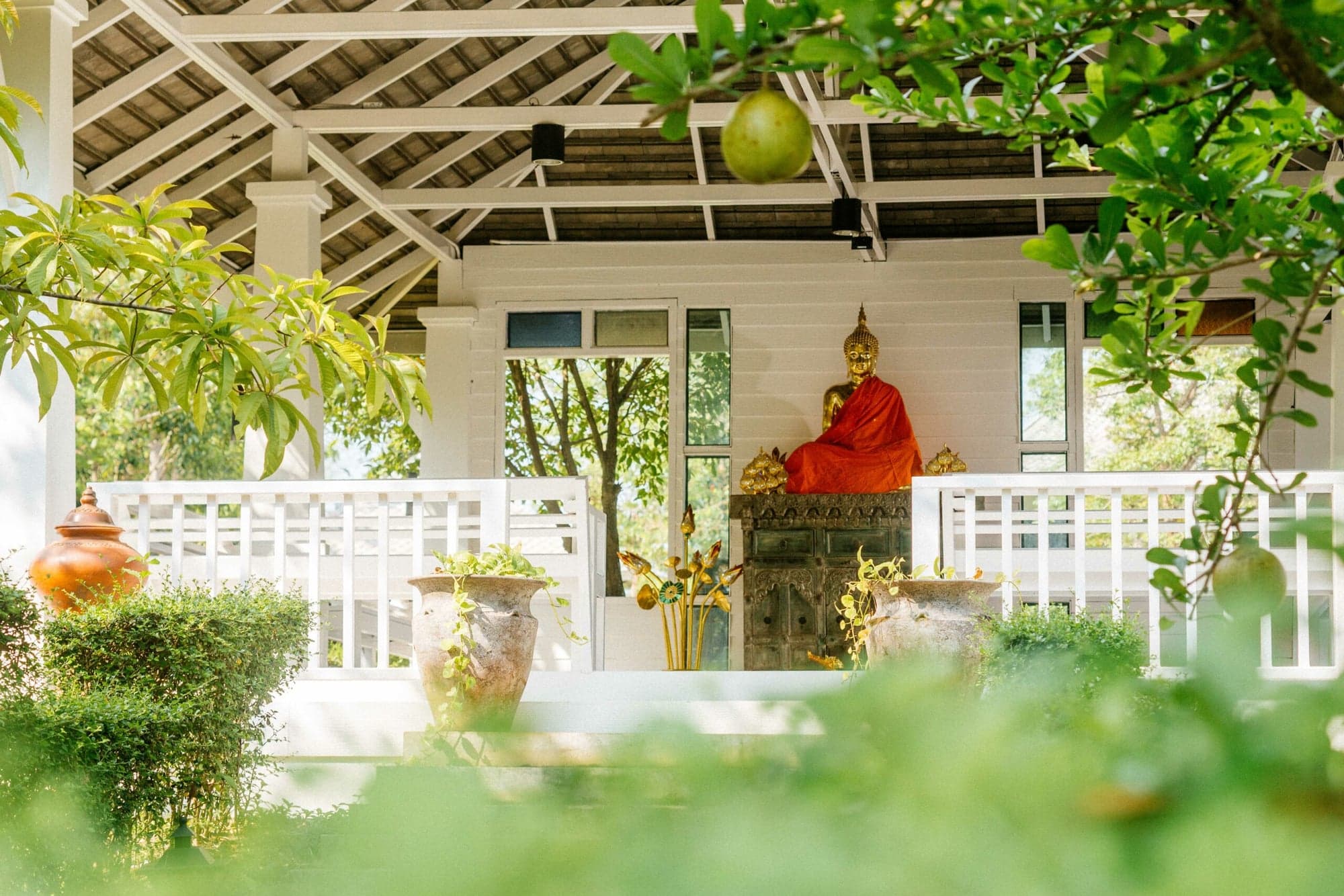 Yoga and Mindful Movement